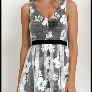 Lace Black & White Dress